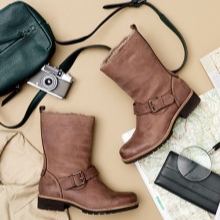 Зимові жіночі чоботи ECCO (43 фото): модні моделі на осінь і зиму