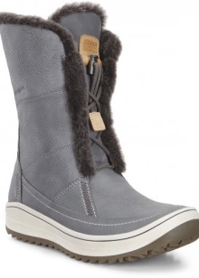 Зимові жіночі чоботи ECCO (43 фото): модні моделі на осінь і зиму