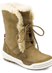 Зимові жіночі чоботи ECCO (43 фото): модні моделі на осінь і зиму