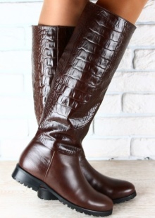 Зимові жіночі чоботи з натуральної шкіри фінського виробництва (64 фото): моделі на повну ногу, дутики, вироблені в Фінляндії