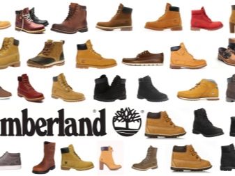 Зимове взуття Timberland: черевики і кросівки з хутром на зиму. З чим носити чорні і білі тімберленди?