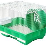 Зміст сирійського хом’яка в домашніх умовах (23 фото): якого розміру потрібна клітка для правильного змісту короткошерстих хом’ячків?