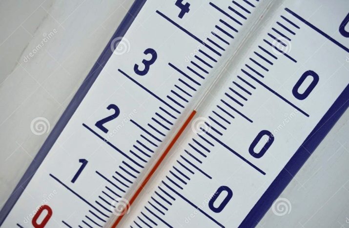 Зміст тернеции (12 фото): догляд за простими, кольоровими і флуоресцентними акваріумними рибками в домашніх умовах, необхідна температура