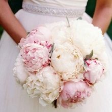 Значення квітки півонії: що символізує картина з піонами по феншуй? Чи вони сприяють заміжжя жінки?