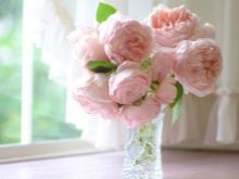 Значення квітки півонії: що символізує картина з піонами по феншуй? Чи вони сприяють заміжжя жінки?