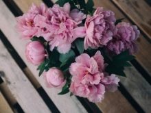 Значення квітки півонії: що символізує картина з піонами по феншуй? Чи вони сприяють заміжжя жінки?