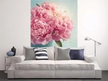 Значення квітки півонії: що символізує картина з піонами по феншуй? Чи вони сприяють заміжжя жінки?