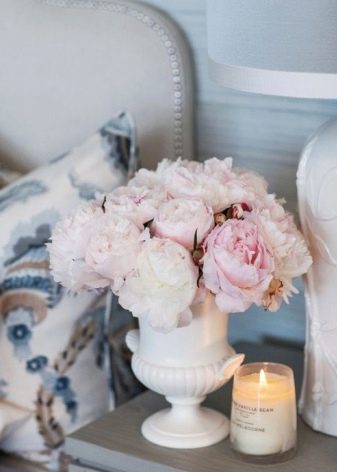 Значення квітки півонії: що символізує картина з піонами по феншуй? Чи вони сприяють заміжжя жінки?