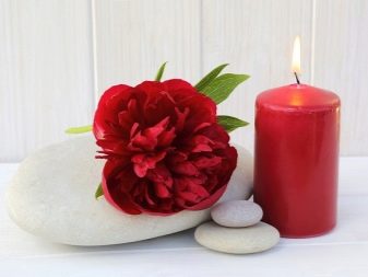 Значення квітки півонії: що символізує картина з піонами по феншуй? Чи вони сприяють заміжжя жінки?