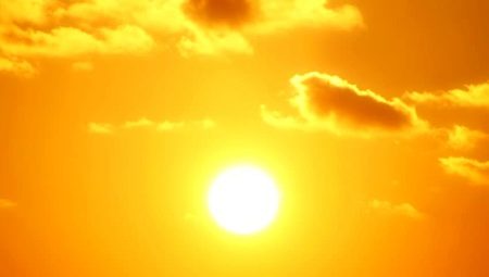 Значення жовтого кольору: як характеризується в психології людини і що символізує в одязі жінки?