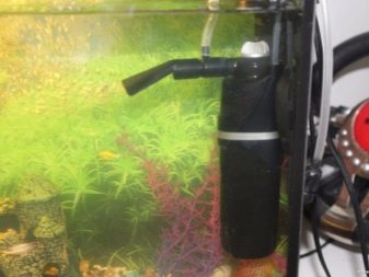 Зовнішній фільтр для акваріума своїми руками (27 фото): саморобний фільтр для акваріума на 100 літрів. Як зробити зовнішній акваріумний фільтр на 300 літрів?